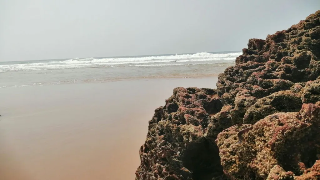 صورة طبيعية لمنحدر صخري يطل على المحيط الأطلسي في ميرلفت بالمغرب، تظهر فيها الأمواج والتكوينات الجيولوجية للساحل الجنوبي.
