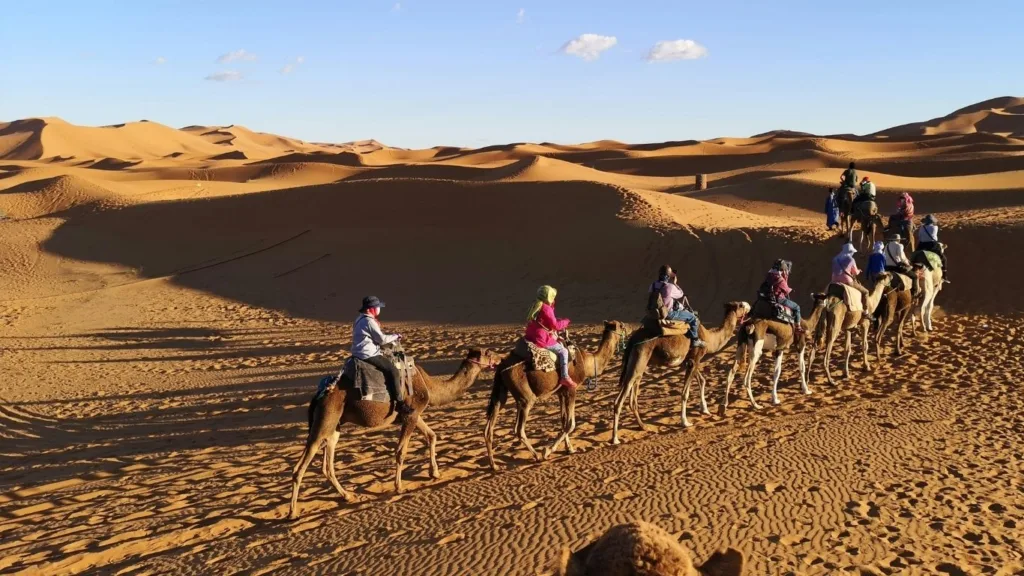 قافلة جمال تحمل سياحاً تعبر كثبان عرق الشبي الذهبية في مرزوكة بالمغرب أثناء وقت الغروب.